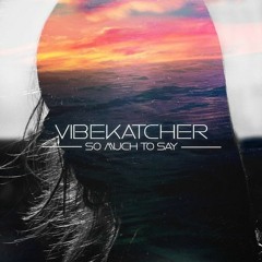 VibeKatcher - So much to say