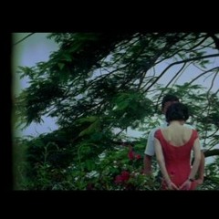Em có biết? - Thông ngơ