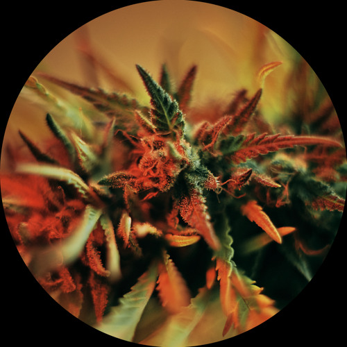 420 Mix