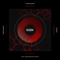 Fake (Original Mix)