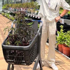 roy kim 로이킴 - sudden shower 소나기 (eclipse cover)