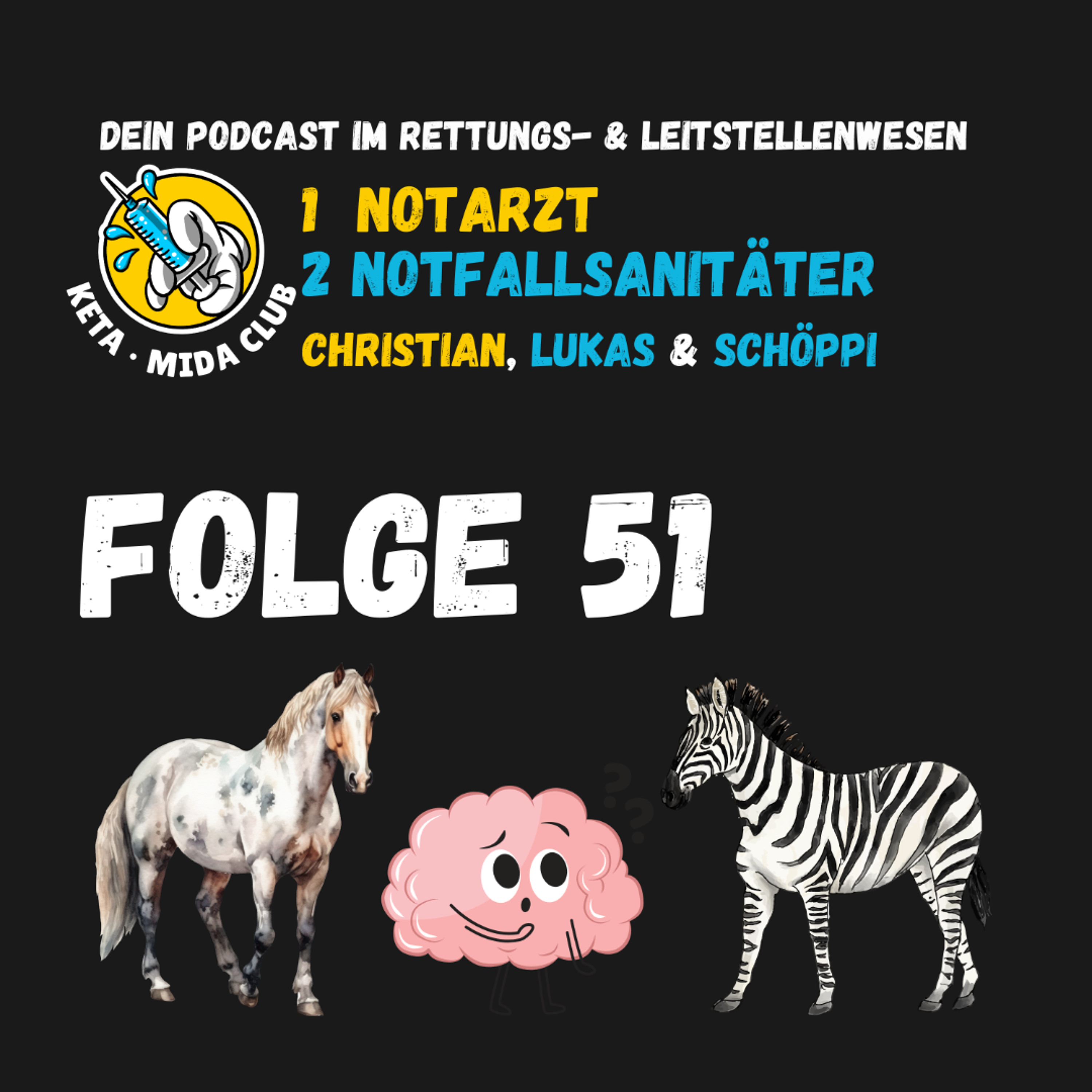 Folge 51 Pferde, Zebras und falsche Diagnosen - Denkfehler in der Notfallmedizin episode artwork