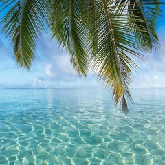 Seanrii + Jenieo (Hagurumo) 2020