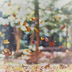 Falling Leaves