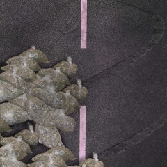 dopemanflyby