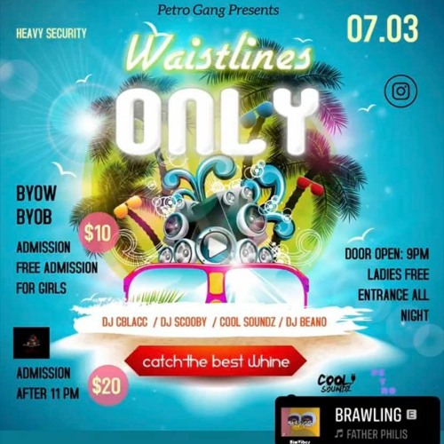 WAISTLINES ONLY PROMO MIX (CS)