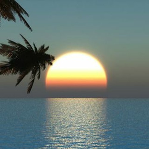 Sunset Vibes