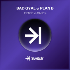 BAD GYAL & PLAN B – Fiebre vs Candy (RoyG Mashup) →| SWITCH STUDIO 💜