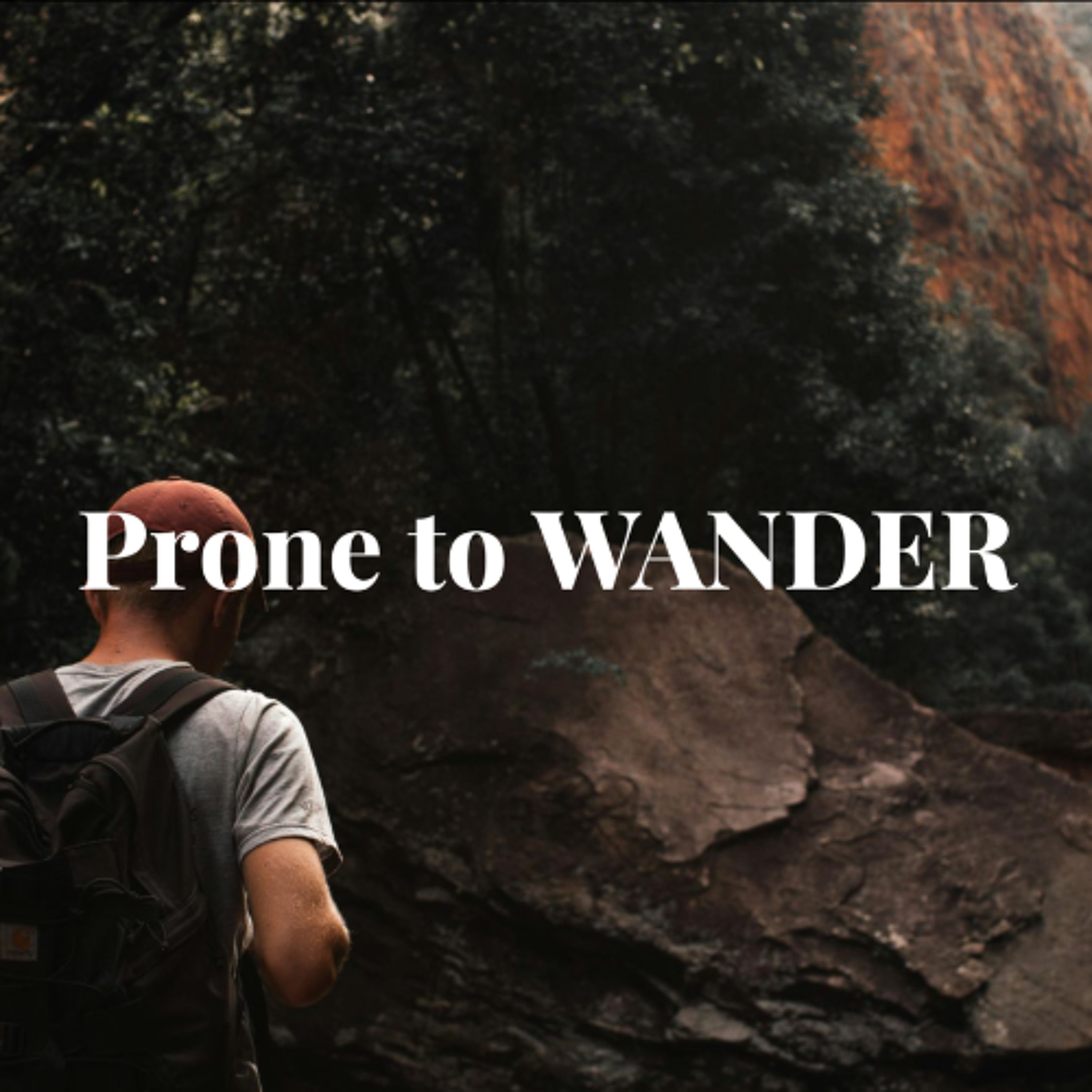 Prone to Wander: Human Condition episode artwork