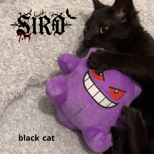 black cat (prod. torie!) (old version)