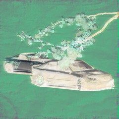 adjacen7 - bupontb (3two flip)