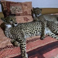 tumblr pretty tumblr girl