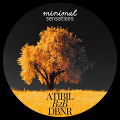 Minimal Sensations: Atibil B2B DBNR