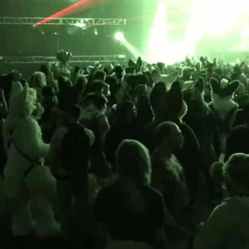 Stream furcon sets in 2025 by furryconvention2005 Listen online for free on SoundCloud