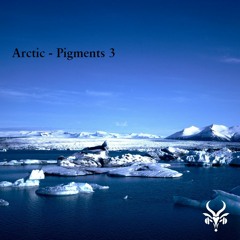 Arctic Pigments 3 soundbank