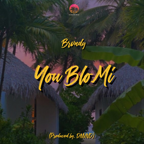 You Blo Mi (Prod by. DNVND)