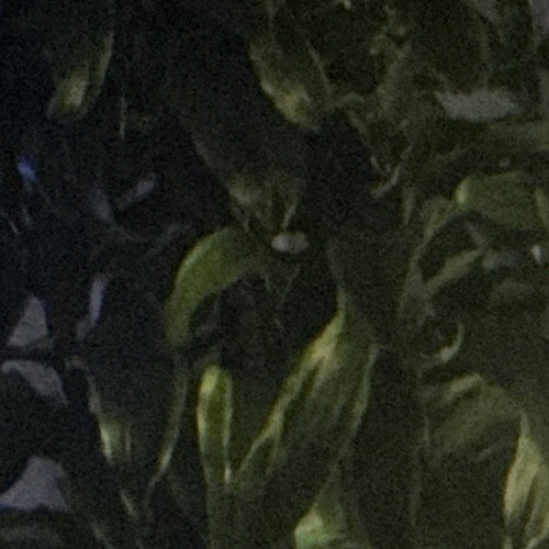 do it yourself - vedbend (Jeji remix)