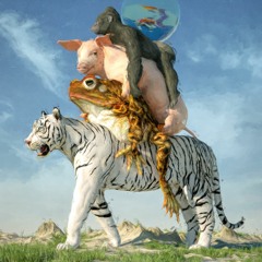 Daily Drop #3481 - Stacks On Stacks