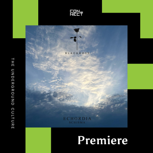 PREMIERE: Echordia - Find My Purpose [Black Rose Recordings]