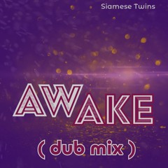 Awake (dub mix)