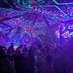 Organic Joy @ Enter Mushroom