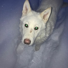 Untitled 2022 - 10 - 17 22 - 42 - 06 Master 2