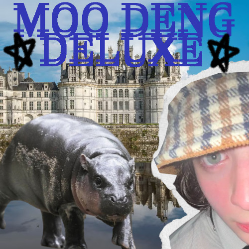 For The Time Being (Moo Deng Version)