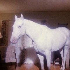 frontrunner (horsegirl cover)