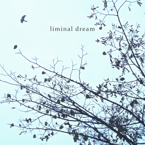 liminal dream
