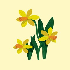 다시 사랑한다 해도