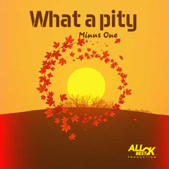 What a pity_Minus One