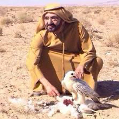 يا دبي | عريب