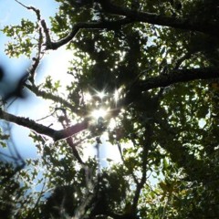 soul ft wokeups (mxsui)