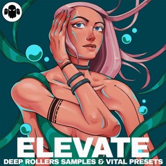 ELEVATE // Drum & Bass Samples and Vital Presets