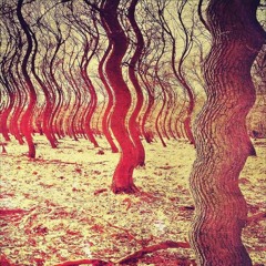 Delysid Undertones   (a duct-ape ambient/drone mix-tape)