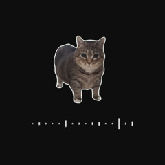 OIIAOIIA (Komdog House Remix)