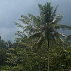 Balinese after new year