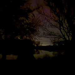 $HOA-Lights Low(Prod-Slugwurf)