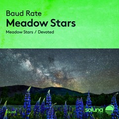 Baud Rate - Meadow Stars [Soluna Music]