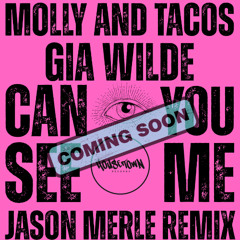Can You See Me Jason Merle remix