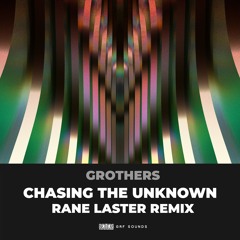 Chasing The Unknown (Rane Laster Remix)
