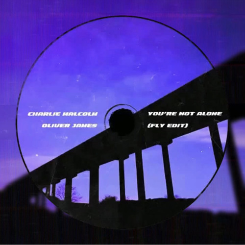 Mally & Oliver James - You’re Not Alone (Fly Edit)
