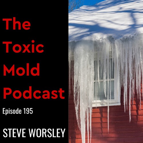 Stream EP 195 Ice and Black Mold (Ice dams, frozen pipes and freeze