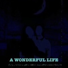 A Wonderful Life (Prod. by Upper Cut$)