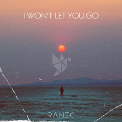 I Won't Let You Go