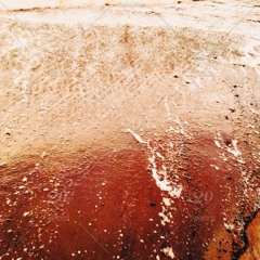 RUBY TIDE