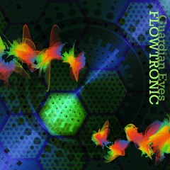 Flowtronic | Guardian Eyes