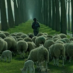 Do you love Me? Feed_my_lambs.-Tu Me Amas? Pastorea mis obejas-Roman Tomko-🎻🌹🌺🎶