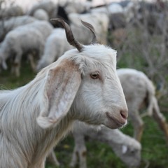 あなたには幸せになる権利がある