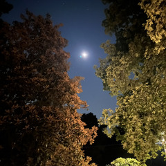 morgue (prod. cay2o)